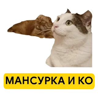 Sticker Мансурка - 0