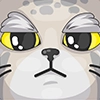 Manul_nsk Manul_nsk -