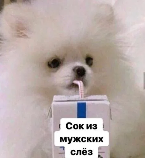 Збережені • @sticbot Збережені • @sticbot -