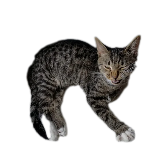 МаркиzZzzZ2 МаркиzZzzZ2 -