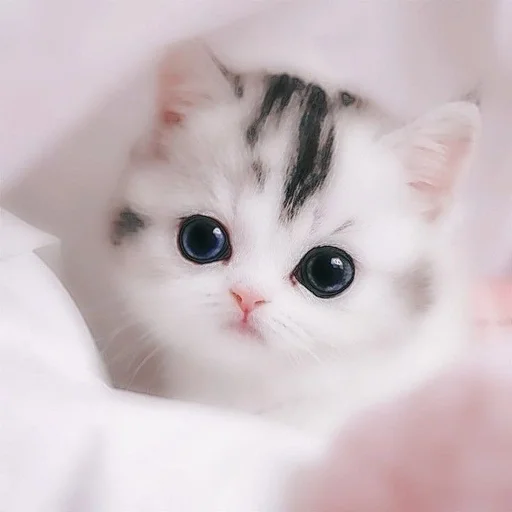 MarmYuksSmirk :: @fStikBot MarmYuksSmirk :: @fStikBot - СМС