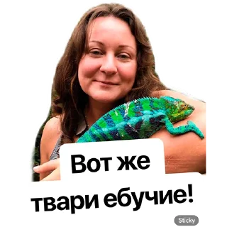 Sticker Наша Маша - 0