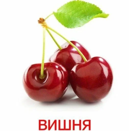 Вишня :: @fStikBot Вишня :: @fStikBot -