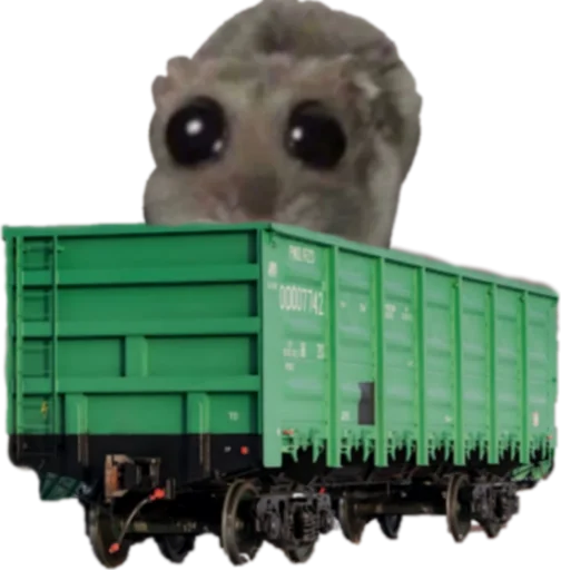 Mavka Hamster Mavka Hamster -