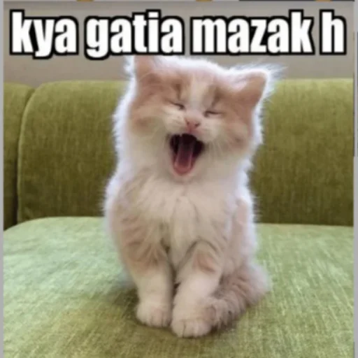 Mera pack Mera pack -