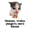 Мега Вилли Мега Вилли -
