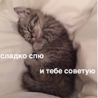 Стикер Memeom - 10 Стикер Memeom - 10
