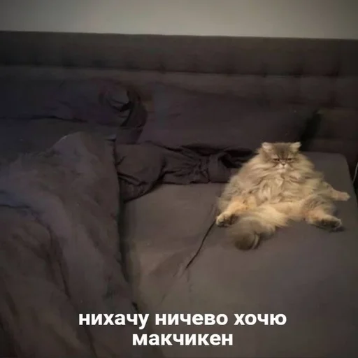 МЭМС МЭМС -