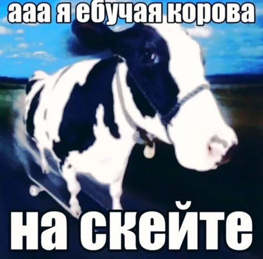Meme? Meme? -