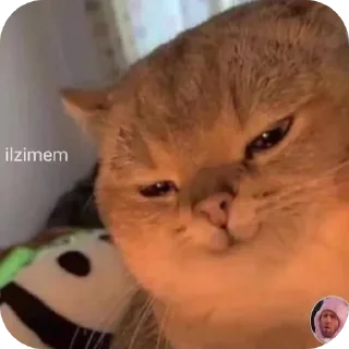 Стикер Мемфис - 4