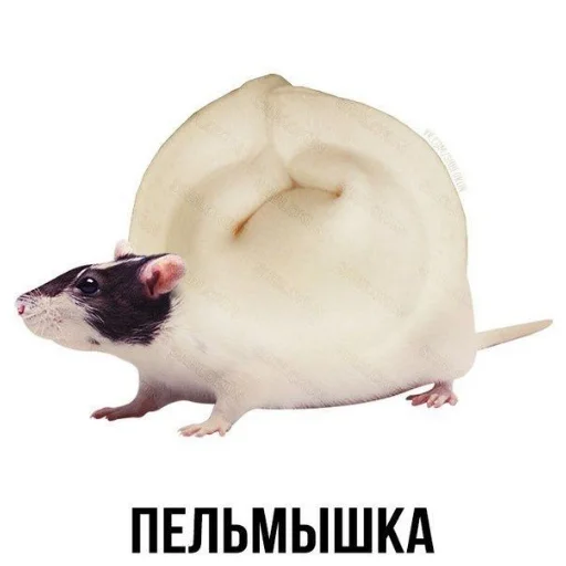 Меми Меми -