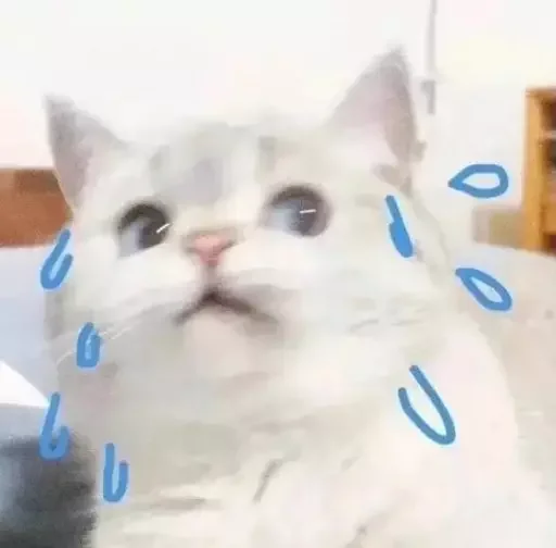 MeowBots 2 MeowBots 2 -