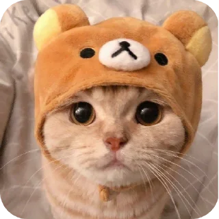 Sticker @sawmeow - 2