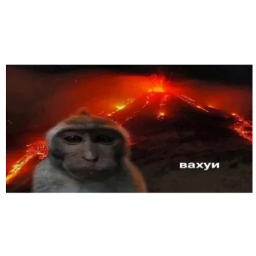 Места вахуи Места вахуи -