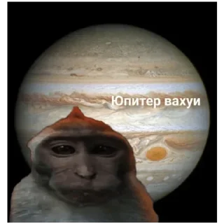 Стикер Места вахуи - 0