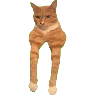 Sticker MEWING - 4