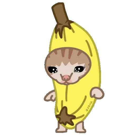 Michi Food Michi Food -