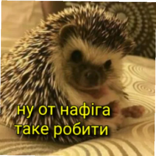 Міг УПАДІ Міг УПАДІ -