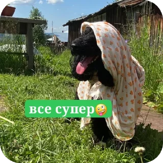 Стикер мик для жизни - 0