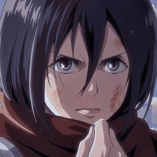 Стикер Mikasa @anime_sticks - 0