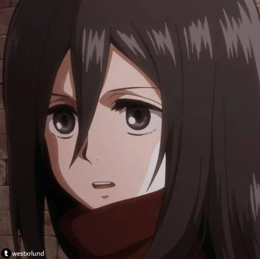 Mikasa ackerman⚔️ Mikasa ackerman⚔️ -