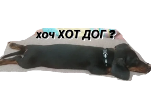 МІКІ МІКІ -