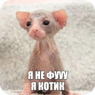 Sticker Милые животные - 1