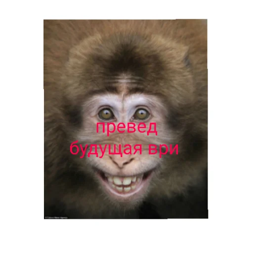мир троллинга мир троллинга -