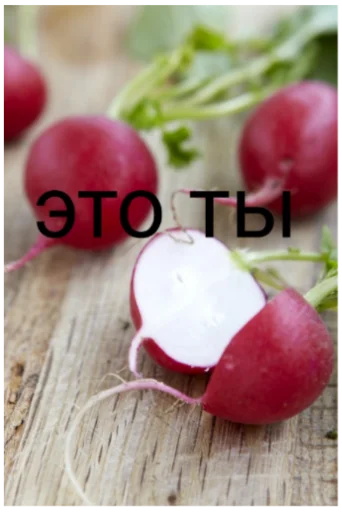 Веселуха вечером Веселуха вечером -