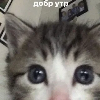 Стикер °^° - 5