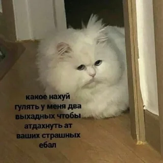 Стикер °^° - 4