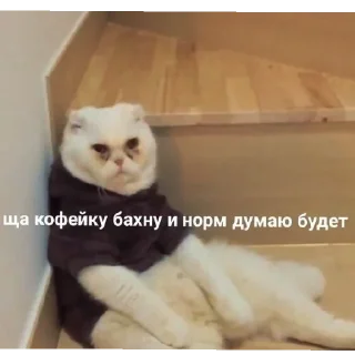 Стикер °^° - 10
