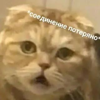 Стикер °^° - 3