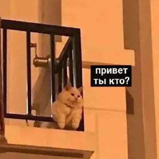 Стикер °^° - 7