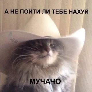 Стикер °^° - 11