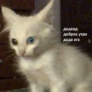 Стикер °^° - 2