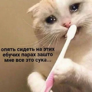 Стикер °^° - 9