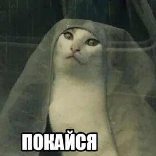 Стикер °^° - 6