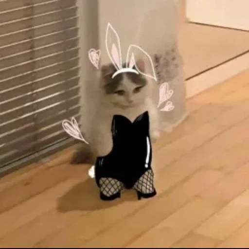 Ммм. ~🖇 :: @fStikBot Ммм. ~🖇 :: @fStikBot - аниме