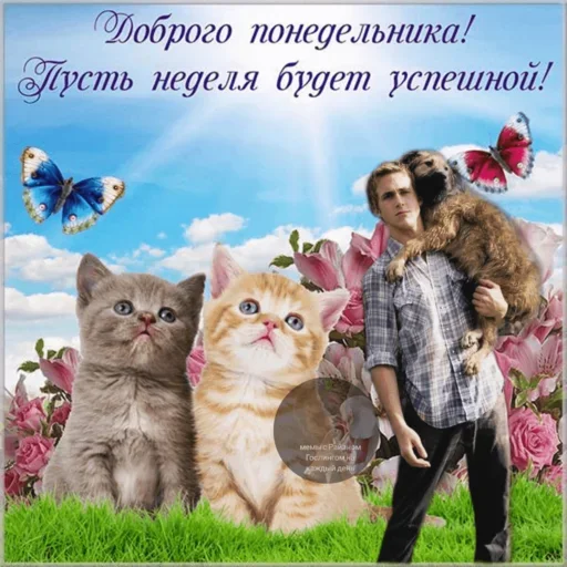 Больше стикеров 👉🏻 @stickertg4 Больше стикеров 👉🏻 @stickertg4 -