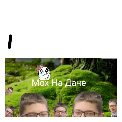 Моховитый мох Моховитый мох -
