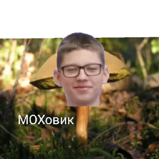 Стикер Моховитый мох - 0