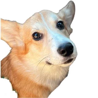 Sticker Мои стикеры - 10