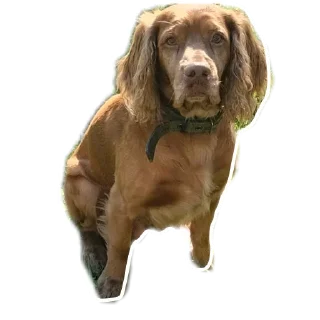 Sticker Мои стикеры - 7