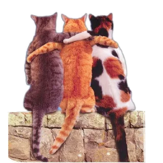 Sticker Мои стикеры - 3