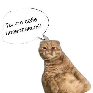 Sticker Мои стикеры - 9