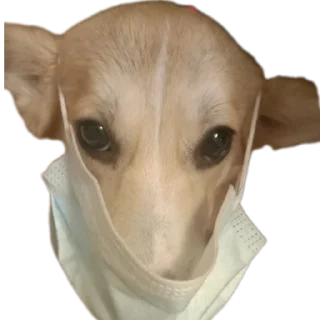 Sticker Мои стикеры - 4