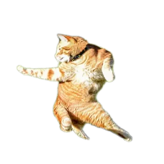 Sticker Мои стикеры - 5