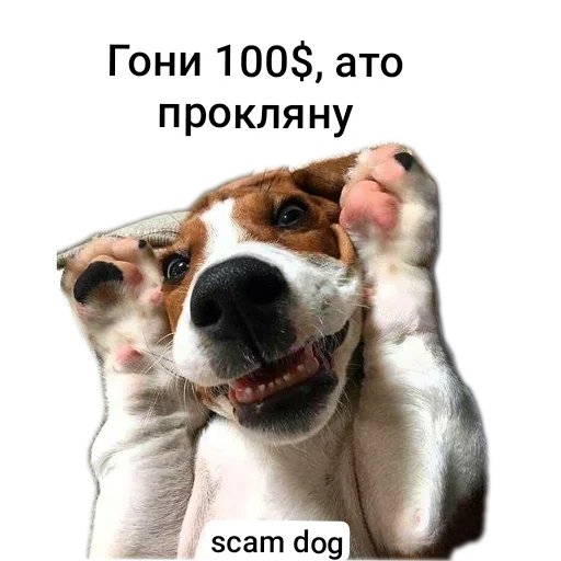 Тон Тон -