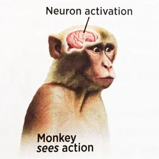 Monke Monke -